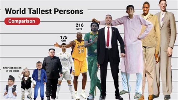 Top 5 how tall is steve harvey best, don't miss T&agrave;i Liệu Điện Tử